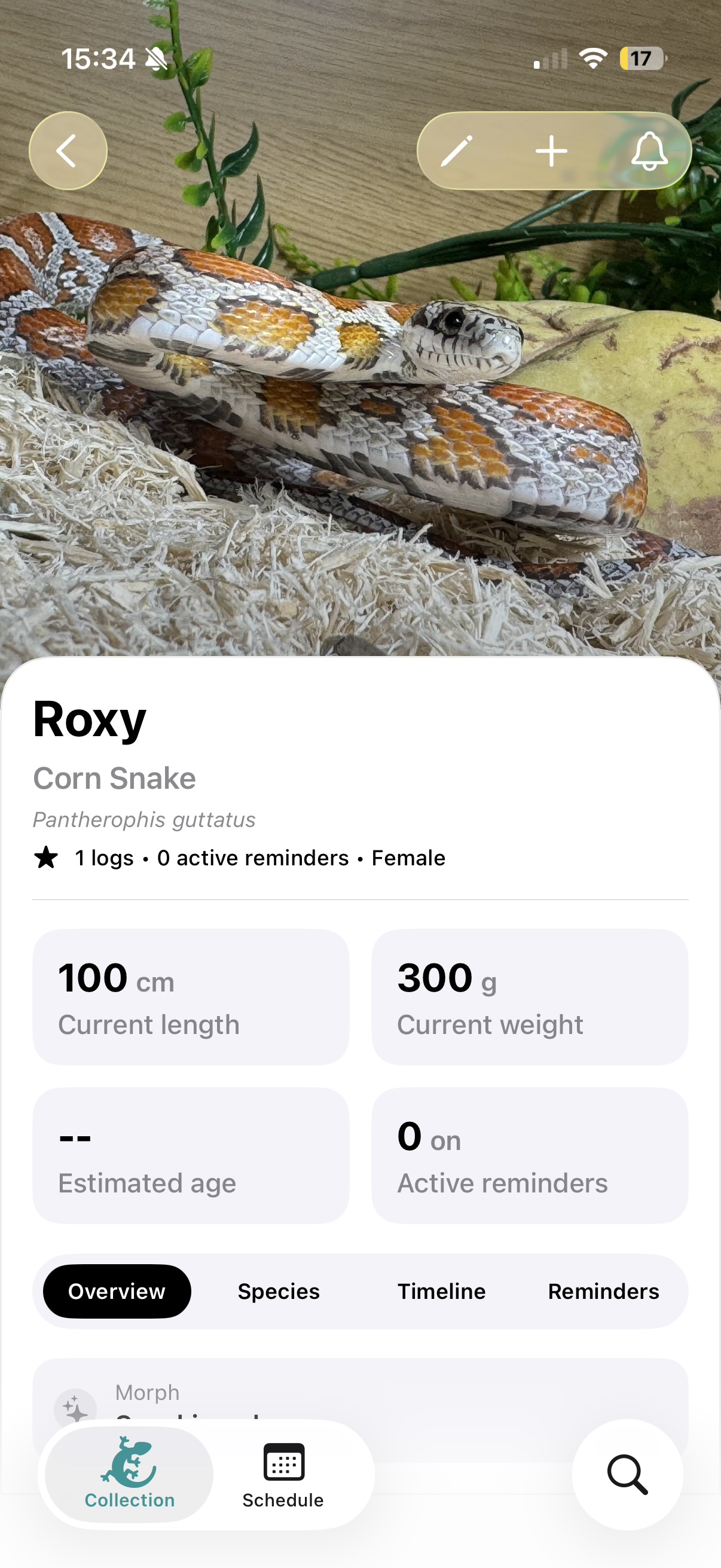 Reptile Profiles (light mode)